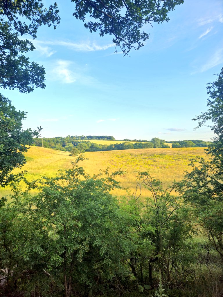 WillCardale4536's tweet image. 6.6 mile hike from Harpenden to The Wagonners Pub, Ayot Green

#hikingadventures #weekendadventures #Harpendenhikes #WalkYourWay