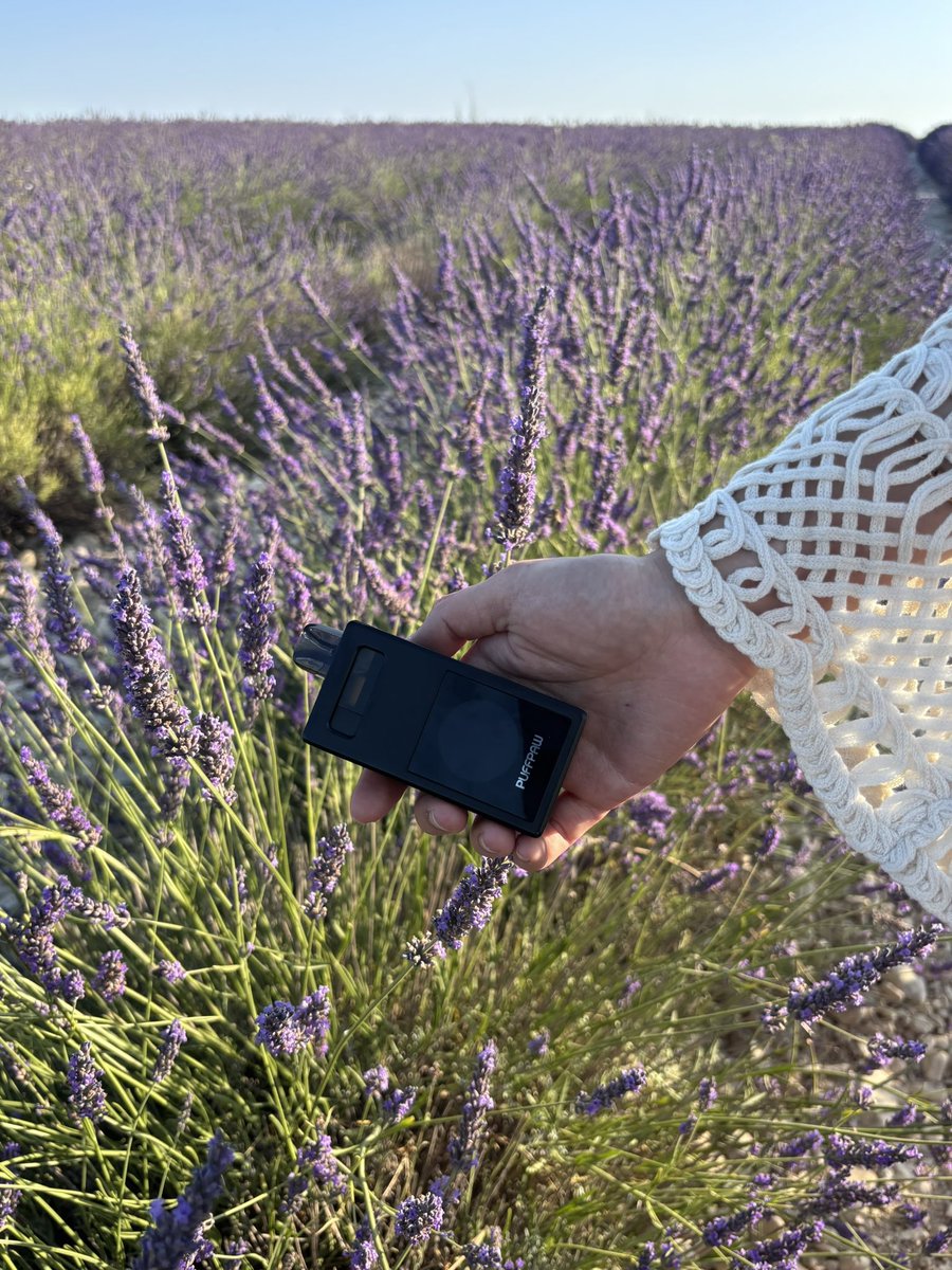 It’s Monday, time to runs fast.

While everything else rests, <a href="/puffpaw/"></a> keeps you healthy 
No delays. No noise. Just smooth. 

Take a breath, push something small, and enjoy the flow.

Stay Puffpaw