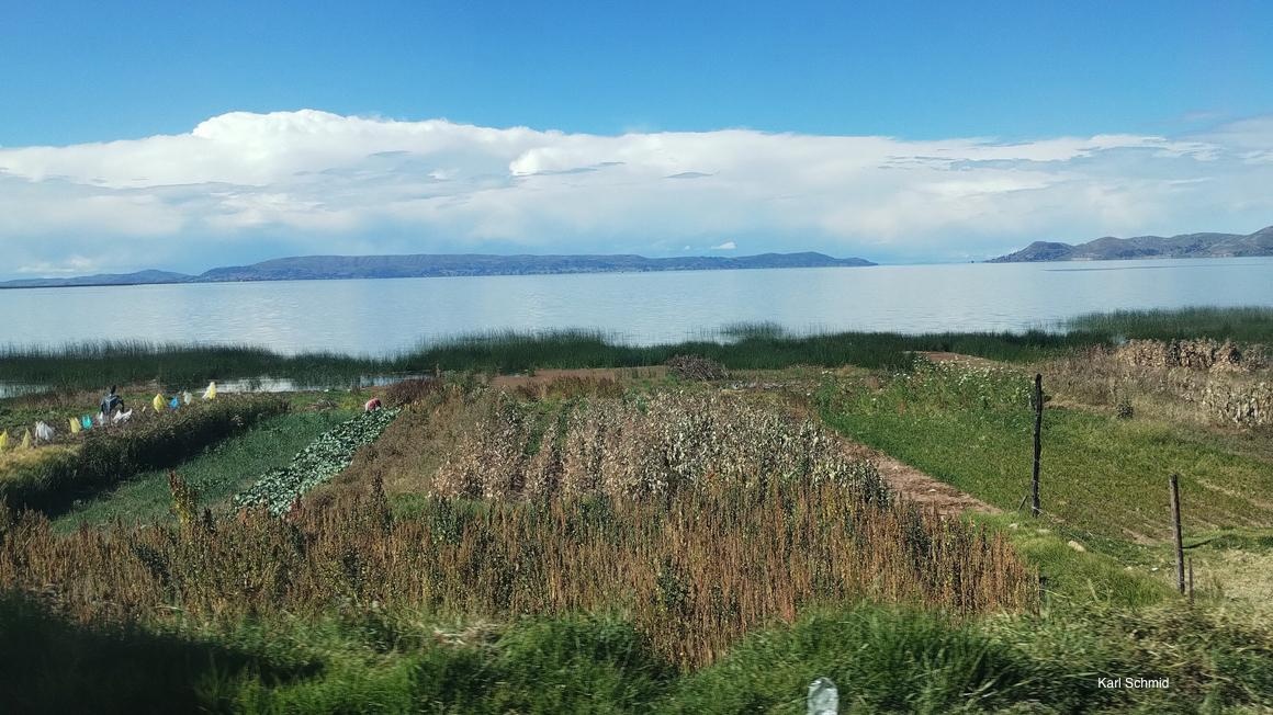 🌱 Klimaresilientes Quinoa gezüchtet

Mithilfe von KI konnte ein Forschungsteam, unter Mitwirkung der Universität Hohenheim, klimaangepasste Quinoa-Sorten für das peruanische Hochland entwickeln.

👉 Mehr zum Thema gibt es hier: biooekonomie.de/nachrichten/ne…

#KI #Pflanzenzüchtung