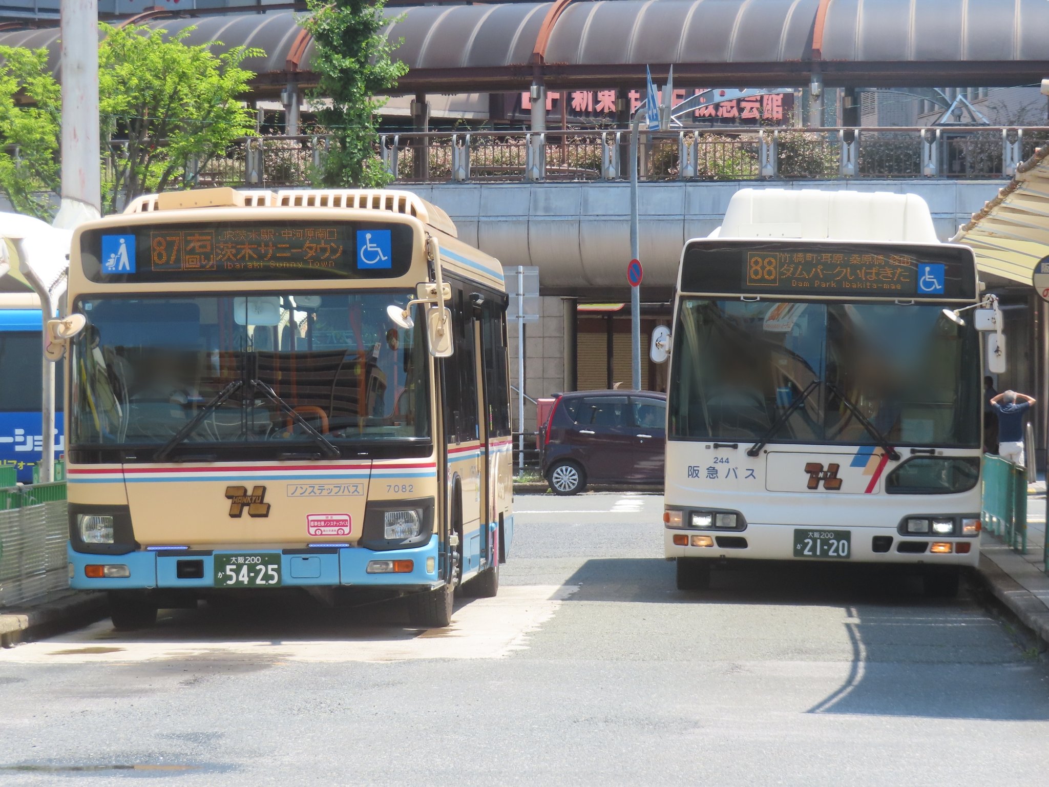 アルキデス DENTIGRE LL