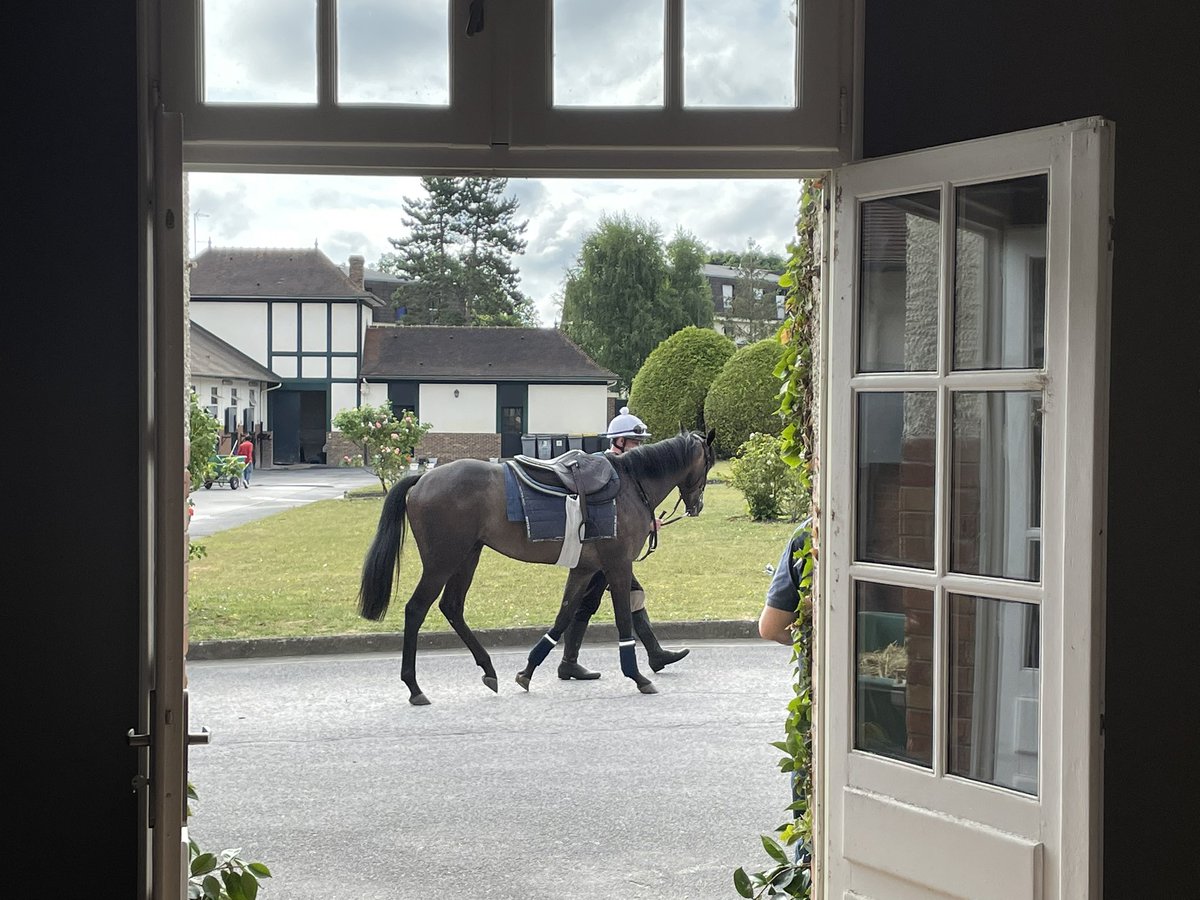 Surrey Racing tweet media