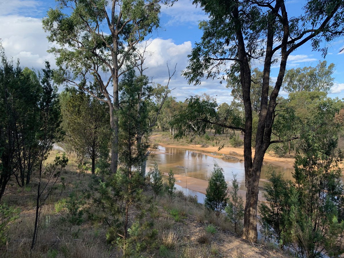 💧Jo Evans tweet media