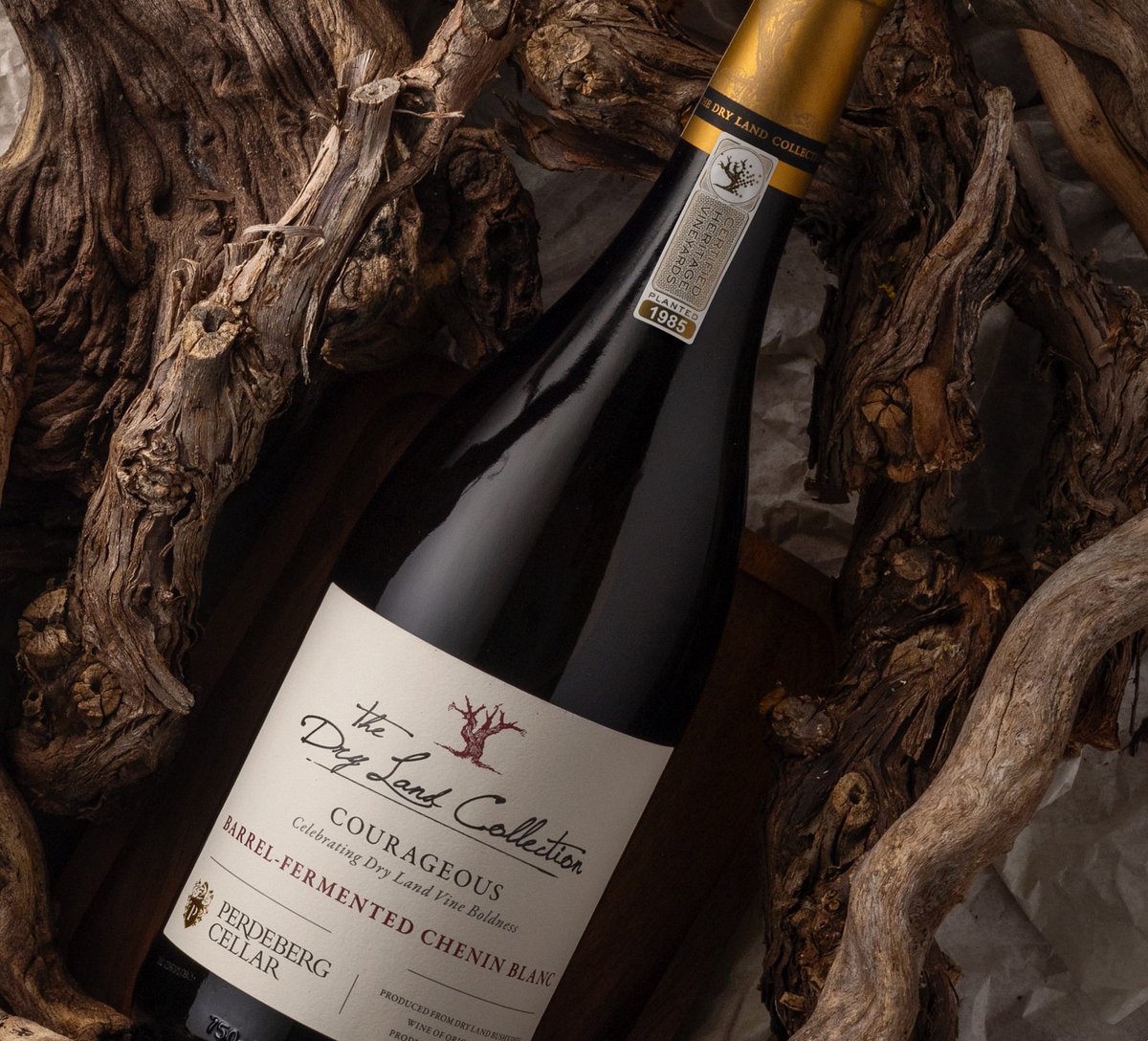 No. 1 in Winemag's Chenin Report with the 2024 vintage. Gold at the Global Wine Masters with the 2023 vintage. 95/100 at the IWSC with the 2022... Howzat! Perdeberg Dry Land Barrel-Fermented Chenin Blanc!!

topwinesa.com/x5v6

#SA #SouthAfrica #Top #Wine #Perdeberg #Chenin