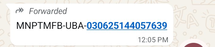 blessing1724235's tweet photo. @moniepointng This is what uba sent to me https://t.co/yQwoGOPGd6