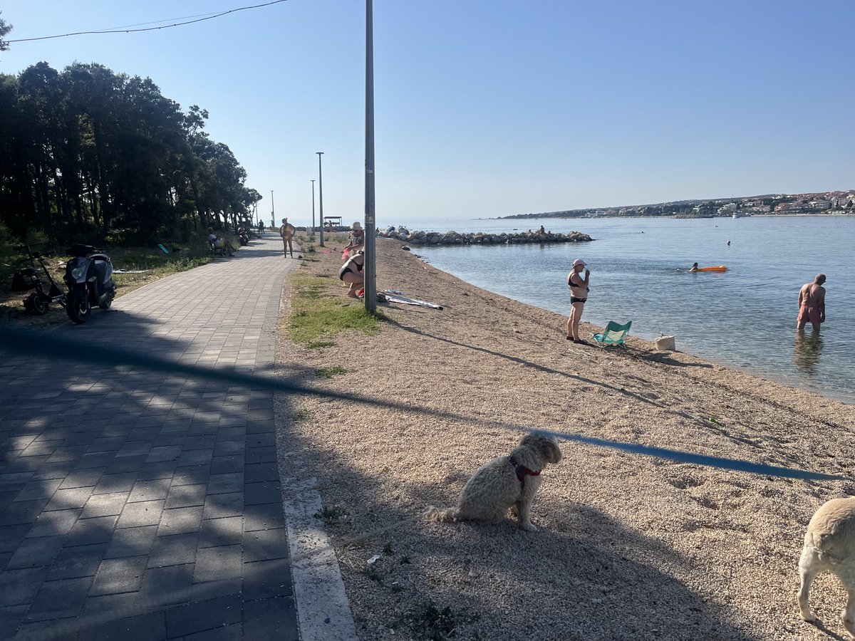 Bojchi1's tweet image. Dobro jutro!!🌲🌳🐟🐠🦑🦞🪸                          Samo rano na kupanje preko dana samo hladovina.
Sunce pržiiii.