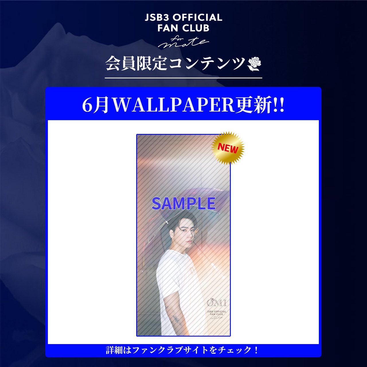 めい★プロフィール必須様リクエスト3点専用 三代目 J SOUL BROTHERS on X: 