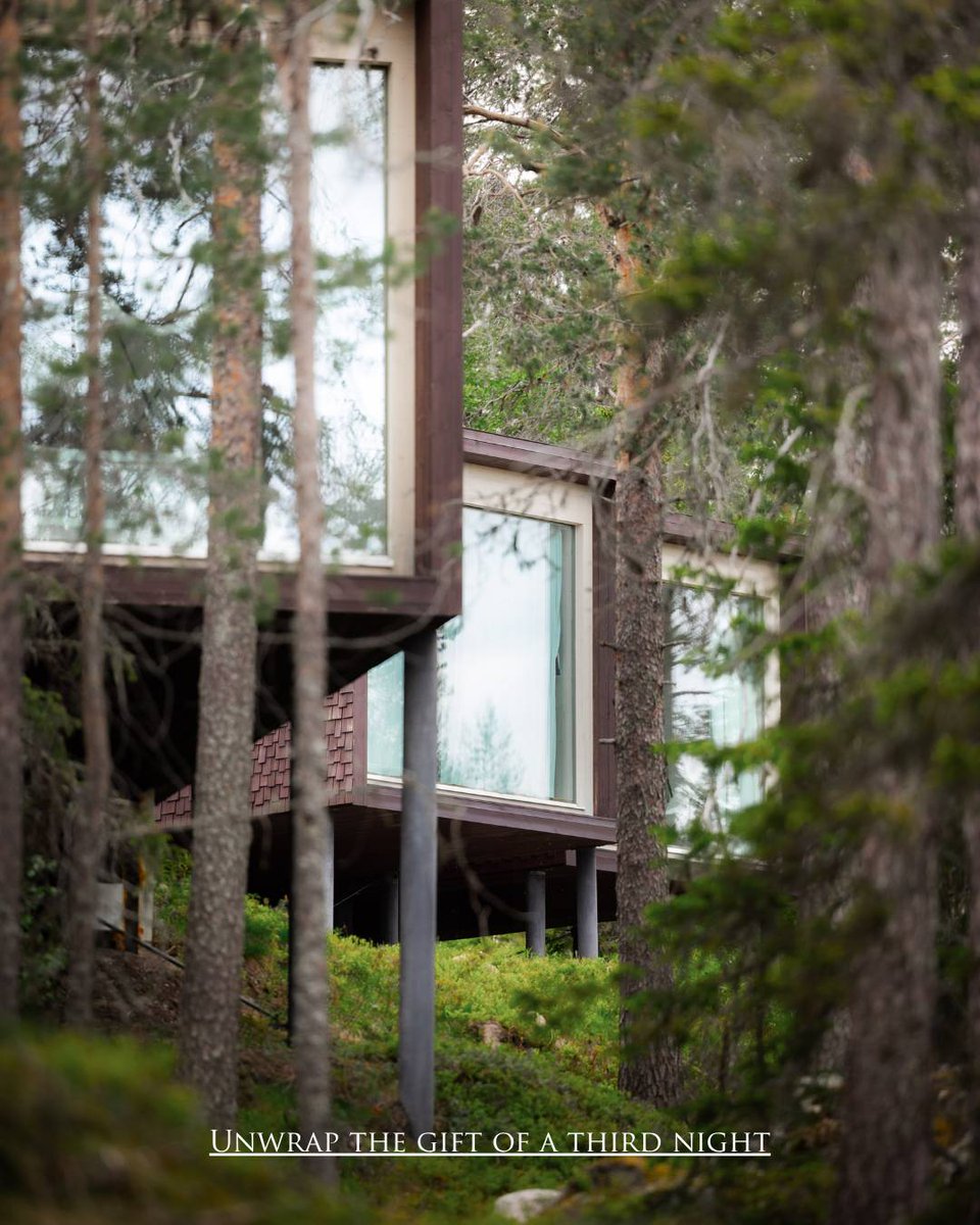 Arctic TreeHouse Hotel tweet media