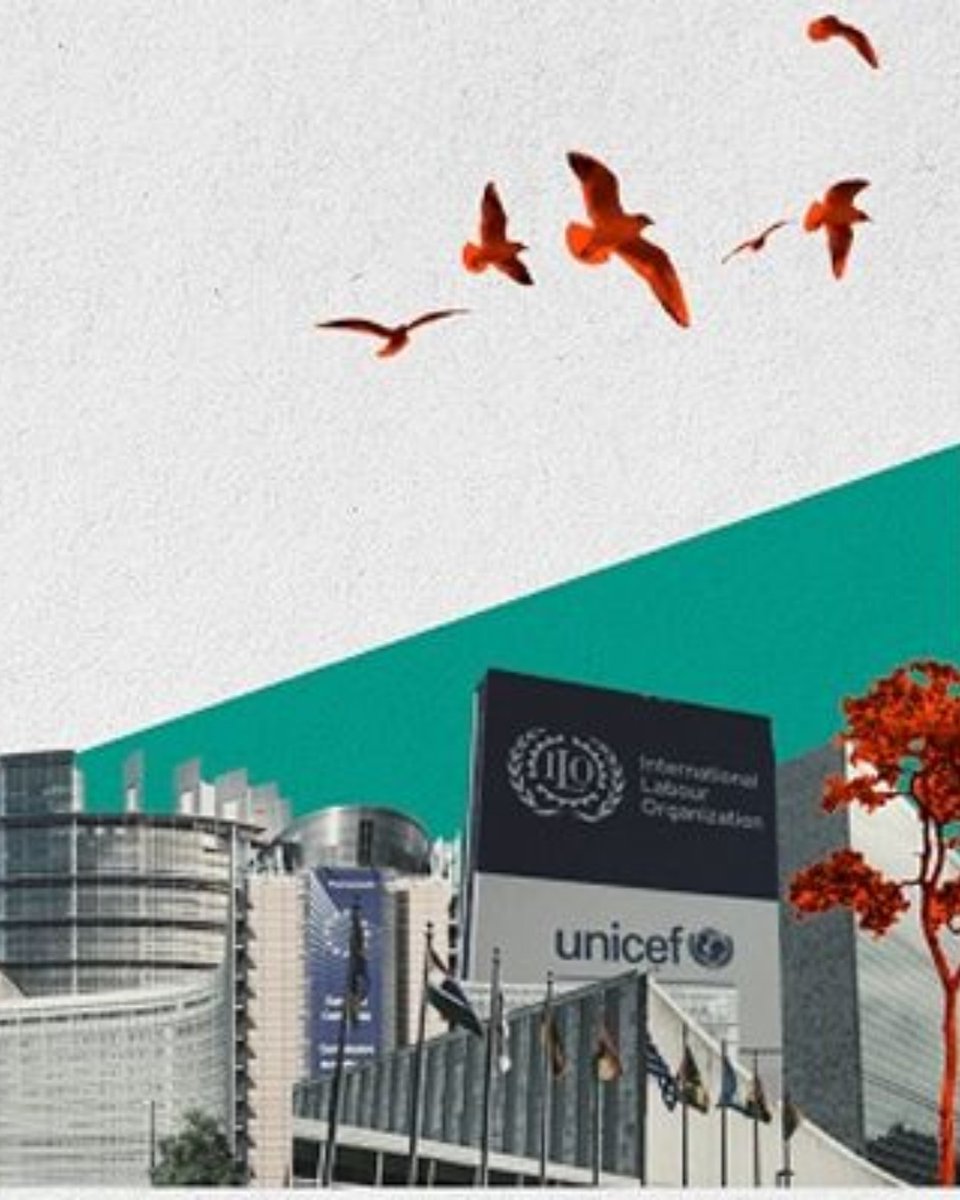 🇪🇺 T'interessa fer pràctiques en organitzacions internacionals o institucions europees?

 ✈️ Els Ajuts Canigó - Francesc Vendrell 2025 poden ser la teva oportunitat!

 🔝 Dotació màxima de 2.000 € al mes

🗓️ Fins al 30 de setembre

🔗 ow.ly/WYSO50VYZcW