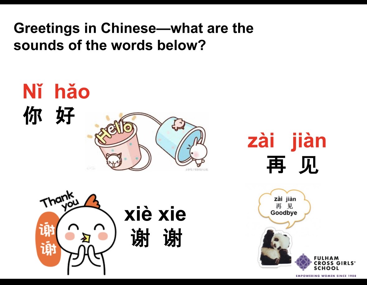 Fulham Cross Girls' School tweet media