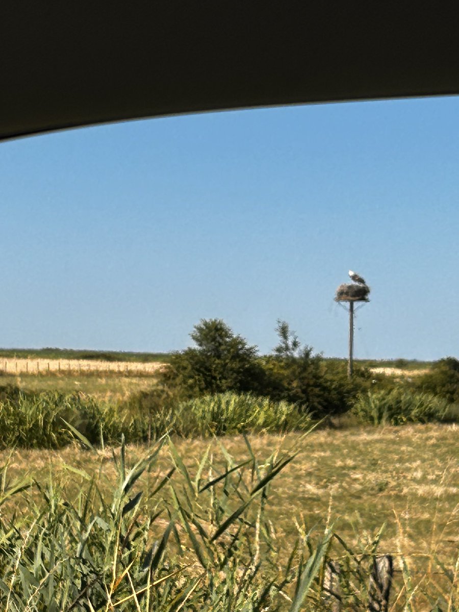 KCobrey's tweet photo. Yesterday was a long drive towards Cahors for two nights here on the riverbank, luckily we have a lovely shady pitch.  #verastravels https://t.co/lOf4gyt7wA