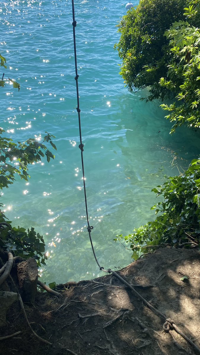 Good morning 🌅 
Have a great Monday!