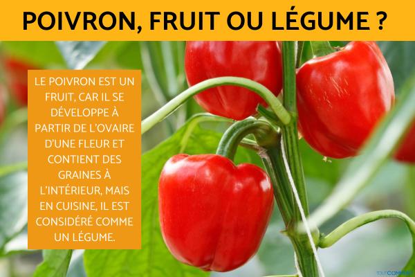 toutComment's tweet image. Poivron, fruit ou légume ? cuisine.toutcomment.com/article/poivro… #cuisine