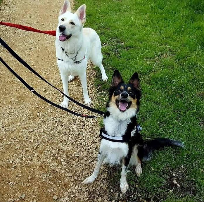 Heather Beier tweet media