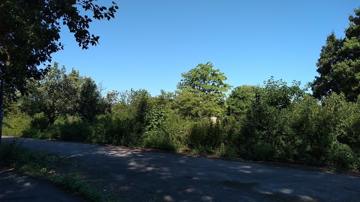 Leerer Parkplatz vor dem Freibad, weil die Sanierung immer noch nicht abgeschlossen ist 😔