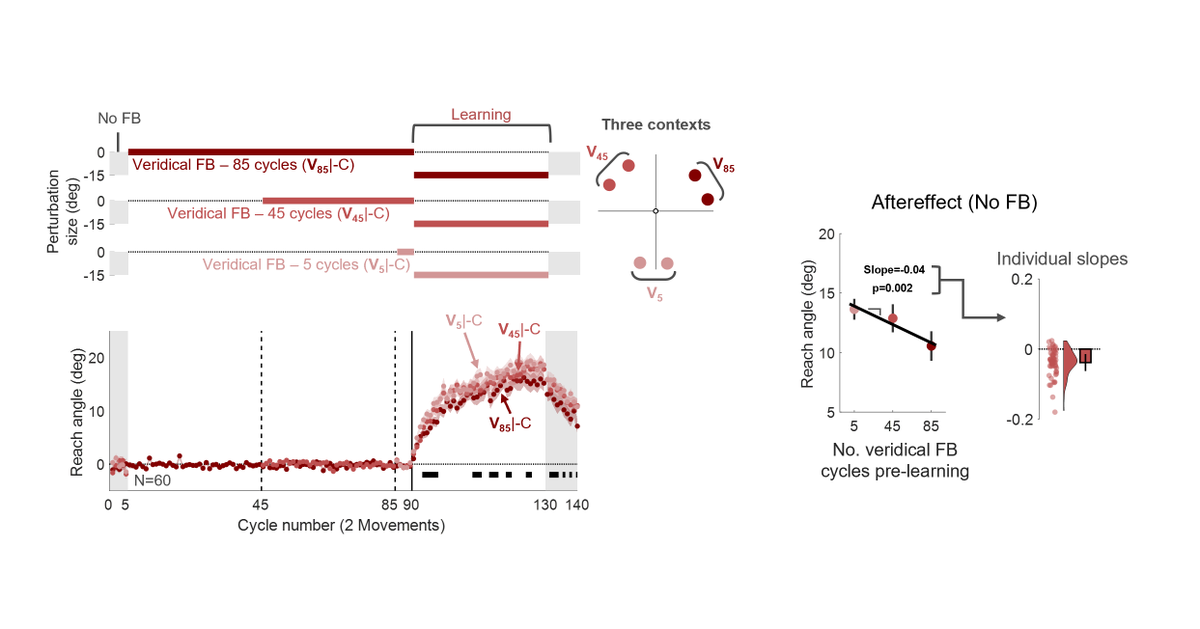 Guy Avraham tweet media