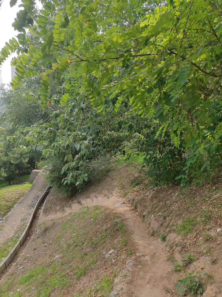 💄软觅蜜🍑 tweet media