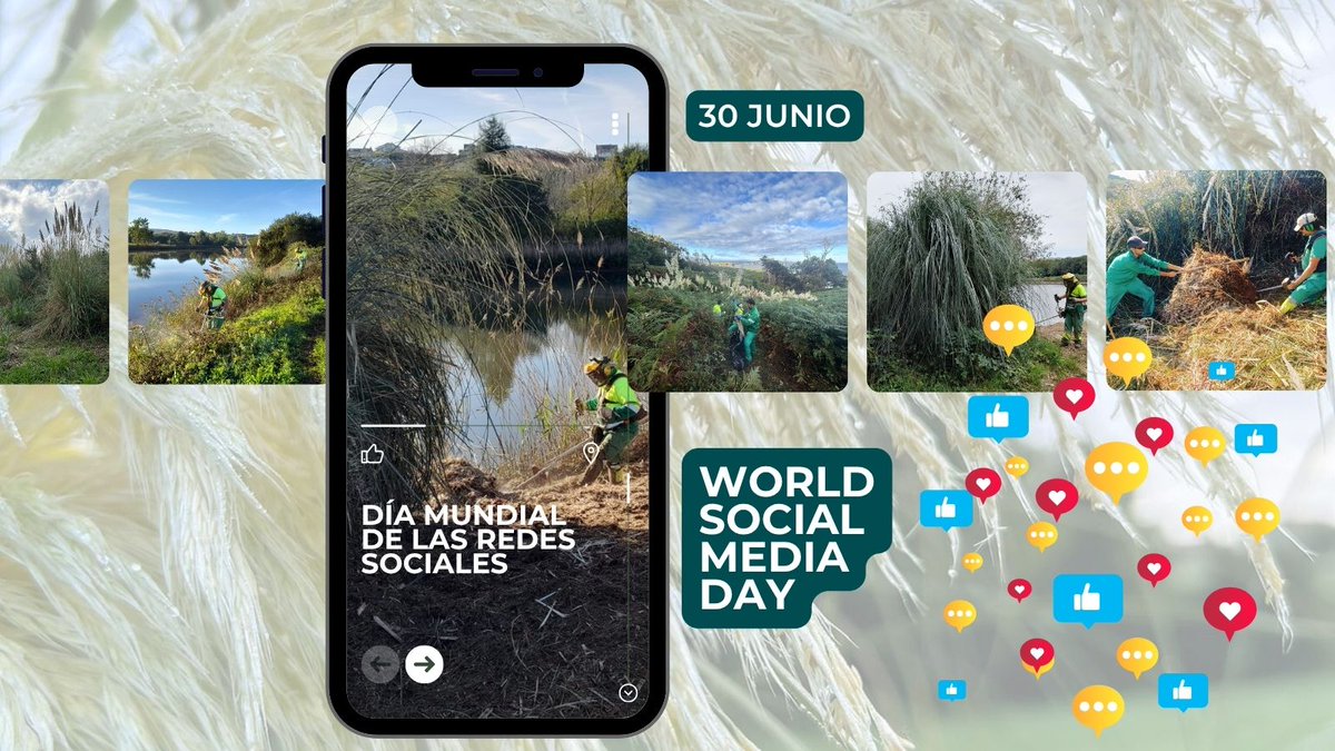 stopcortaderia's tweet image. 🌍📱 En el #WorldSocialMediaDay alzamos la voz por quienes no pueden: los ecosistemas.
🚫 #Cortaderia selloana (#plumero) es una planta #invasora que desplaza especies nativas.
✅ Informar
✅ Erradicar
✅ Restaurar con flora autóctona
🌿 Sin filtros, con acción.