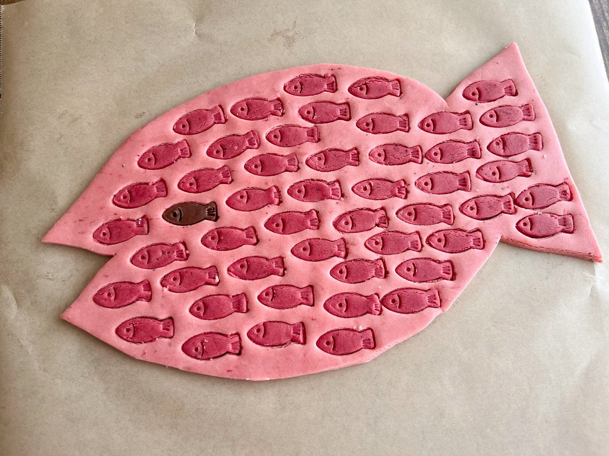 ｽｲﾐｰ🐟🫧