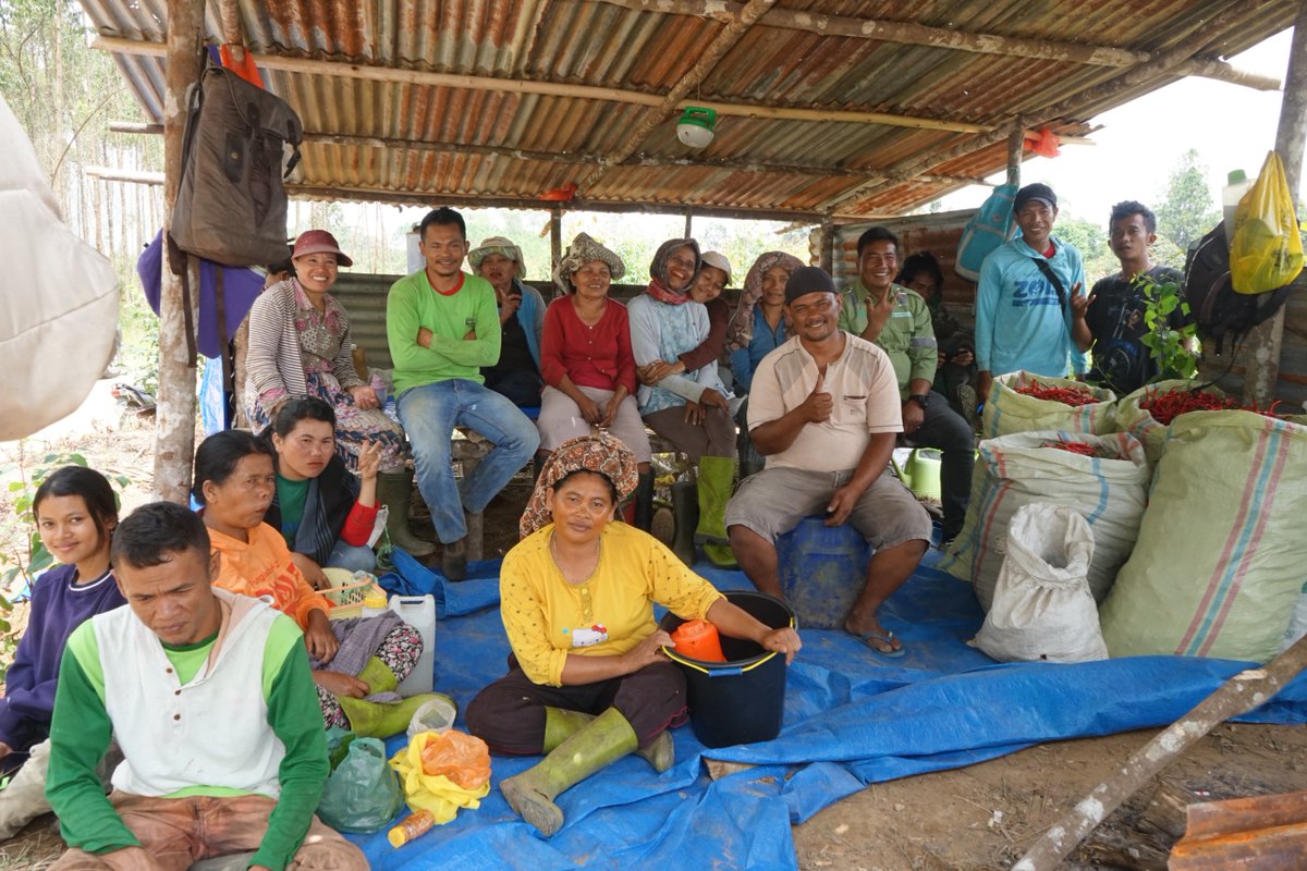 tobapulp_id's tweet photo. TPL JAYA!

Do you still remember the Forest Farmers Group Dolok Parmonangan Nauli in Pondok Buluh Village, Dolok Panribuan Subdistrict, Simalungun Regency? They are one of the farmer groups supported by Toba Pulp Lestari’s CD/CSR program

https://t.co/LJfkjOScno

#TPLJAYA
#TPL https://t.co/oYNeAKYhL7