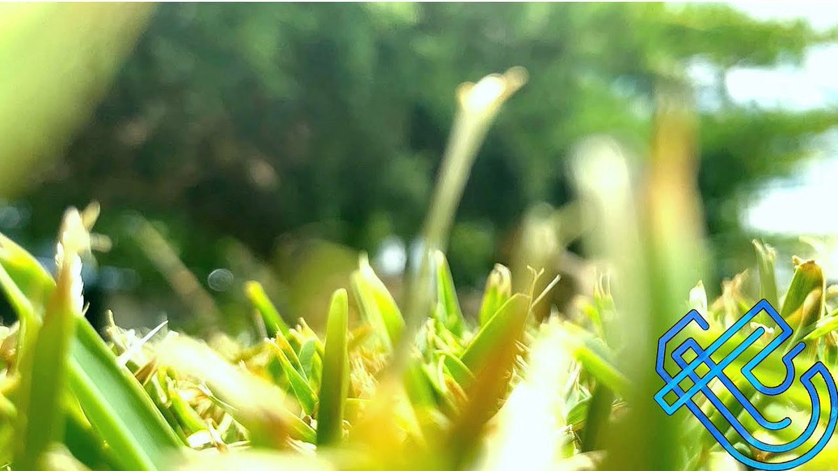 TechTitansGr's tweet image. Nature&apos;s Creations | 4K UHD | TechTitans
youtu.be/vC1boyvRIAc