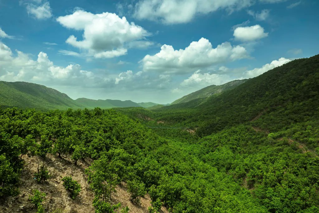 IndiaAesthetica's tweet photo. Rajgir hills , Bihar  🟢⛰️ 🇮🇳 https://t.co/7DSsITSFUG