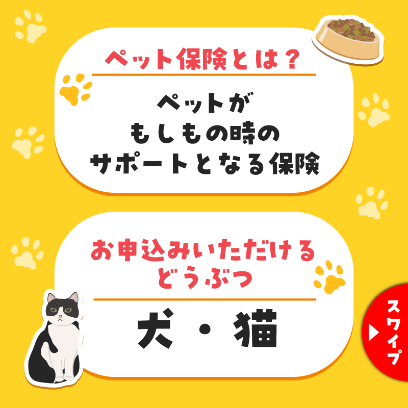 famima_now's tweet photo. 🐶🐈🐩🐈‍⬛😺
ファミペイギフトコード1万円が当たる!?
ファミマのおすすめペット保険キャンペーン
🙀🐕🐈🐕‍🦺🐶

ワンちゃん・ネコちゃん用のもしもの時のための保険があるって知ってた？
詳しくはスワイプ→→→

応募方法
1️⃣@famima_now をフォロー
2️⃣本投稿に ファミマのおすすめペット保険 とリプライ
