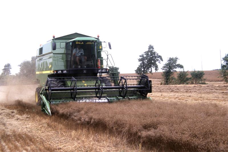 🌾 Récolte du lin oléagineux : cap sur les bonnes pratiques !
✔️ Conditions météo
✔️ Matériel adapté
✔️ Normes qualité
📄 Tous les conseils de @TerresInovia pour réussir cette étape clé 👇
🔗terresinovia.fr/-/preparer-la-…