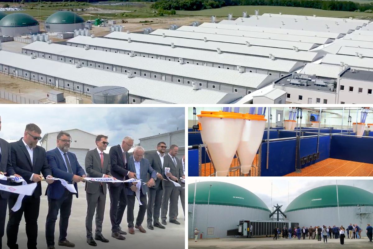 || 🐷 Big Dutchman builds a high-tech sow farm in Poland 🇵🇱

We’re proud to support the Gobarto Group – one of Poland’s biggest pork producers – with buildings, equipment &amp; expertise! 💡🏢🔧

A new benchmark for modern pig farming! 🐖🚀