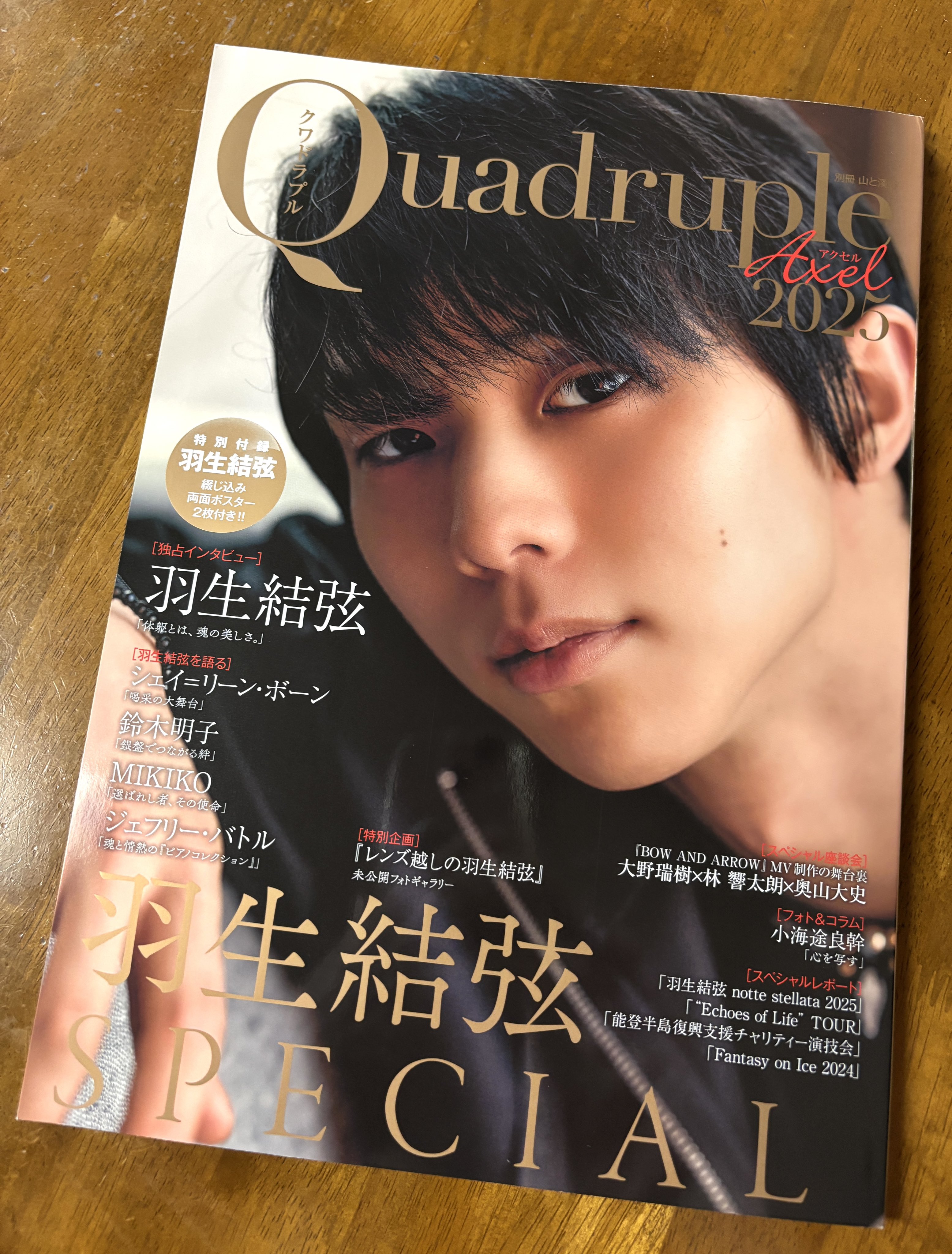 羽生結弦 フライヤー 羽生結弦 フライヤー 10枚 - メルカリ