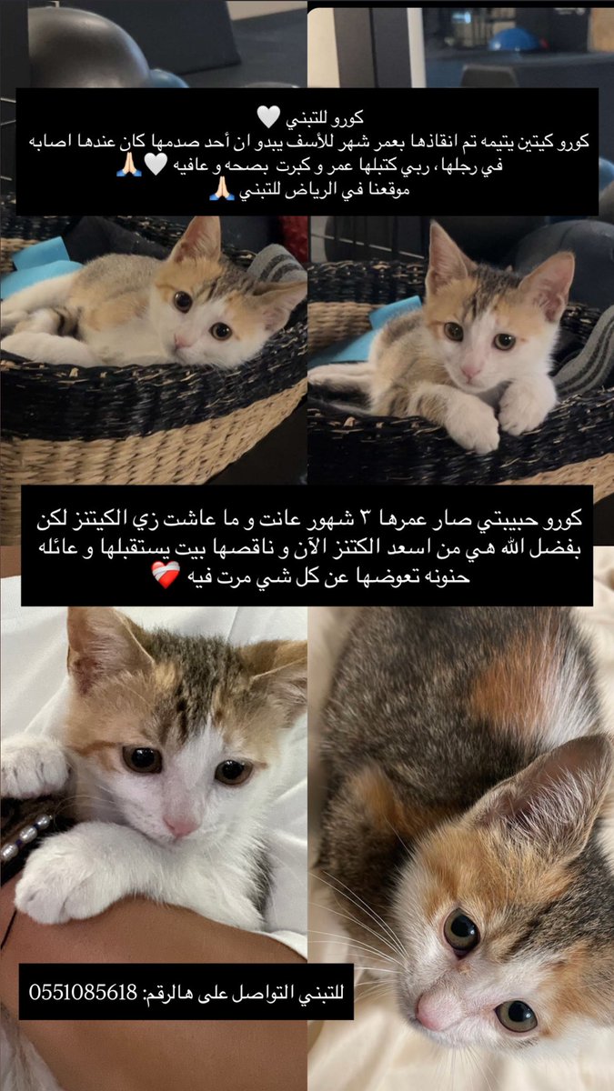 Please share 🙏🏻