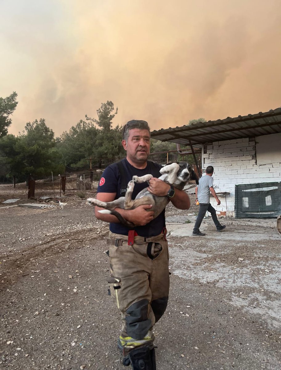 Bir ülkeyi yok etmek istiyorsan, tohumunu toprağa eken köylüsünü, ağacının gölgesinde soluklanan çobanını, dallarında yuva kuran kuşunu susturursun. Toprağını, suyunu, havasını öldürürsün. Bu, bir vatanı hançerlemektir! 

Kasıtlı yangın çıkaranlar, yalnızca ağaçları değil, bir