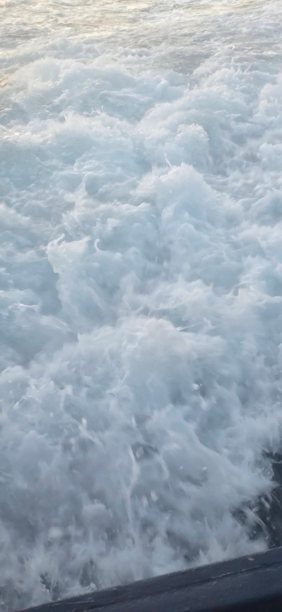 "A true leader stays calm in deep waters and clear in stormy skies. It’s not about staying on the surface — it’s about going deep when others won’t."
#LeadByExample #OceanStrength #DepthMatters