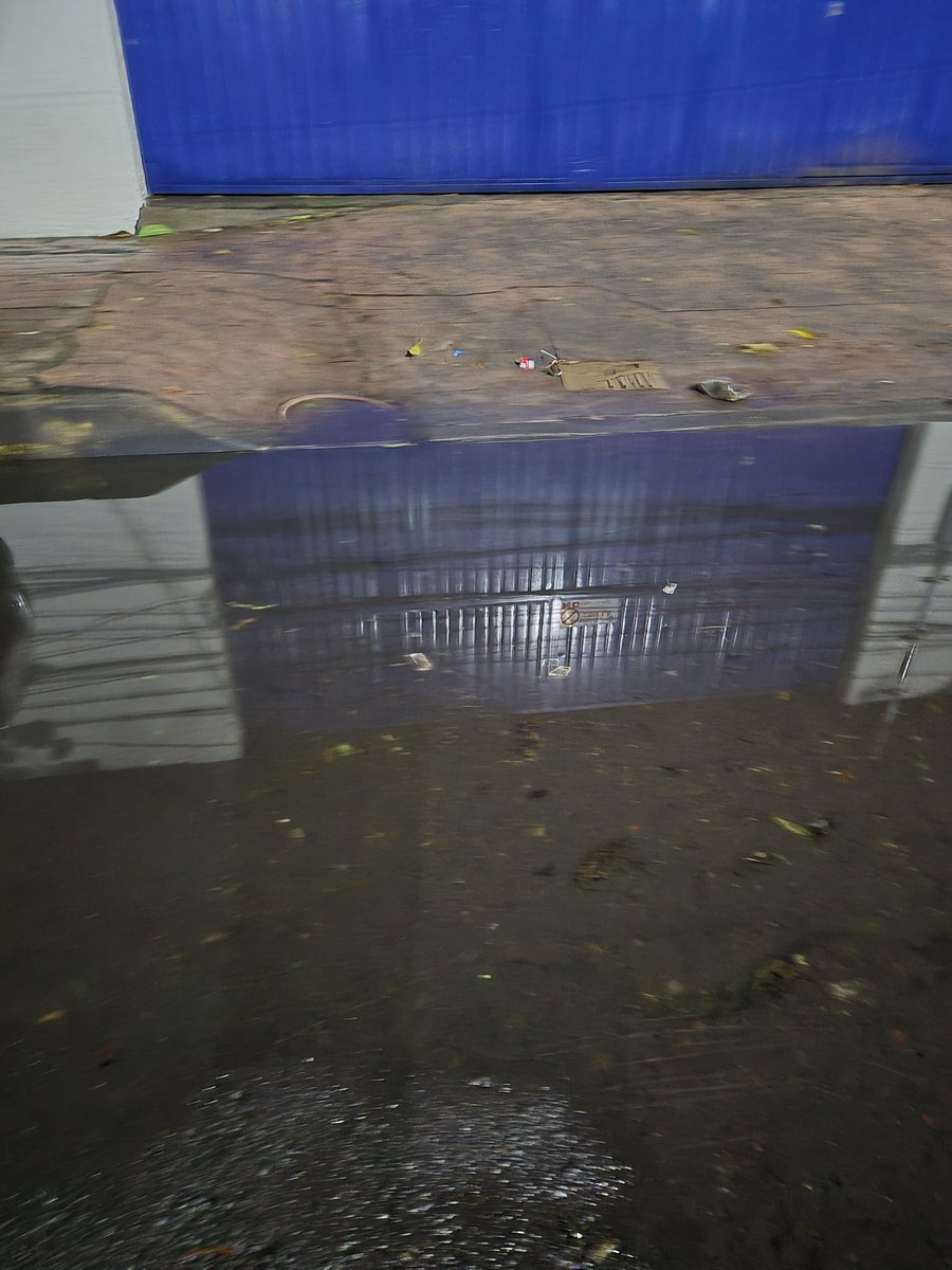 Gabriela #Decorazion tweet media