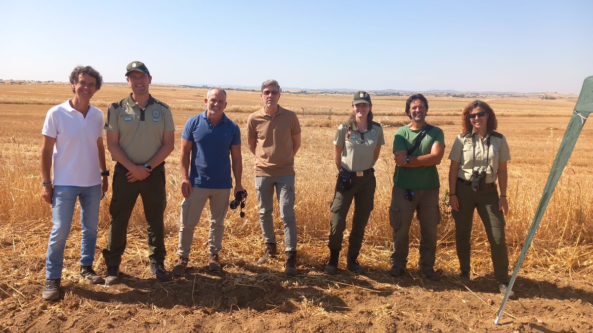 Junta Córdoba (@juntacordoba) on Twitter photo El aguilucho cenizo vuelve a criar con éxito en Los Pedroches tras varios años gracias su programa de conservación
<a href="/rafamartinez_DT/">Rafael Martinez Ruedas</a> destaca que se ha conseguido incrementar la productividad de la especie con siete nidos detectados en esta campaña
<a href="/MedioAmbAND/">Consejería de Sostenibilidad y Medio Ambiente</a>
<a href="/AndaluciaAMAyA/">AMAyA</a> El aguilucho cenizo vuelve a criar con éxito en Los Pedroches tras varios años gracias su programa de conservación
<a href="/rafamartinez_DT/">Rafael Martinez Ruedas</a> destaca que se ha conseguido incrementar la productividad de la especie con siete nidos detectados en esta campaña
<a href="/MedioAmbAND/">Consejería de Sostenibilidad y Medio Ambiente</a>
<a href="/AndaluciaAMAyA/">AMAyA</a>