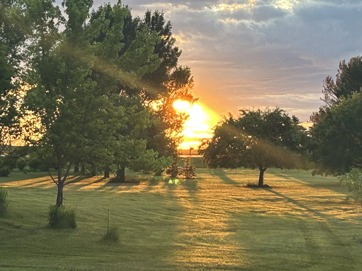 This is the day the Lord has made, MAD!