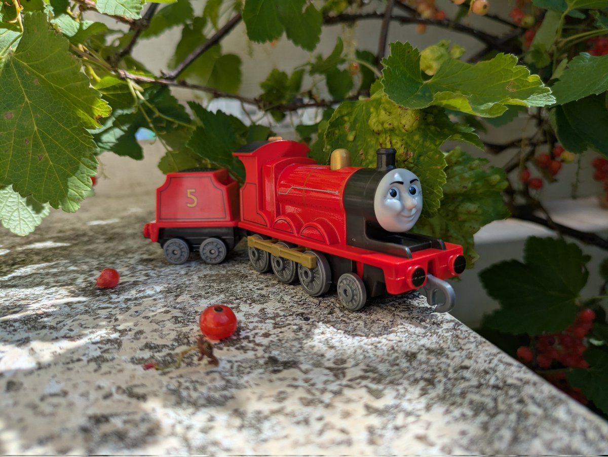 These guys are so pretty outside