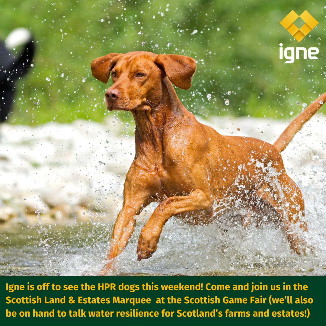 We’ll be at the <a href="/ScotGameFair/">GWCTScottishGameFair</a> with <a href="/ScotLandEstates/">Scottish Land & Estates</a> (5–7 July) - we support land-based businesses with expert services in water resilience, boreholes, geothermal, and more.
Come and say hello if you’re attending!
igne.com/services/speci…
#ScottishGameFair #WaterResilience