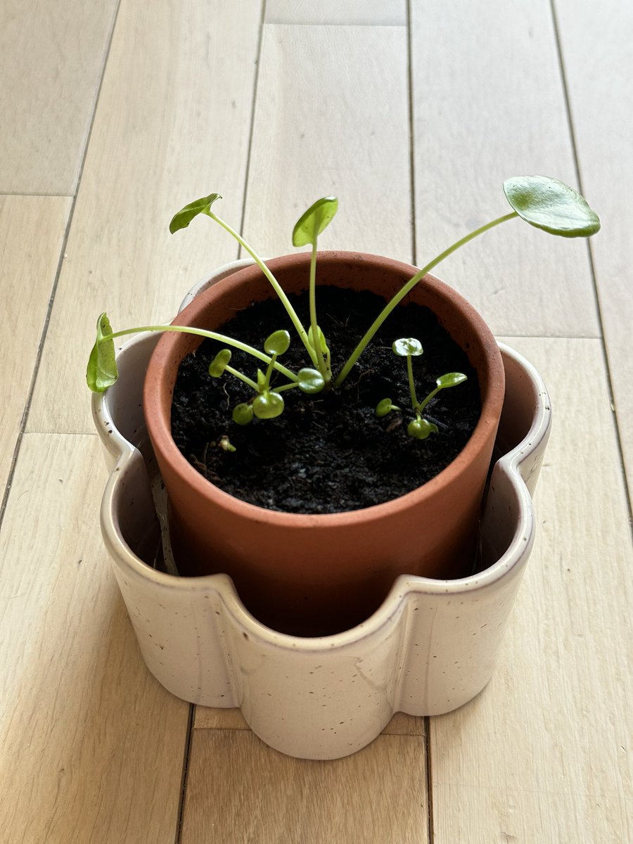 Good Morning web3 crew 🫡