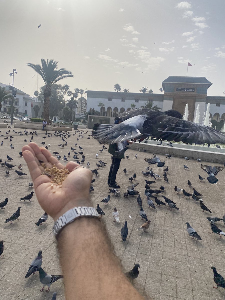 Good morning Mama Africa 🇲🇦