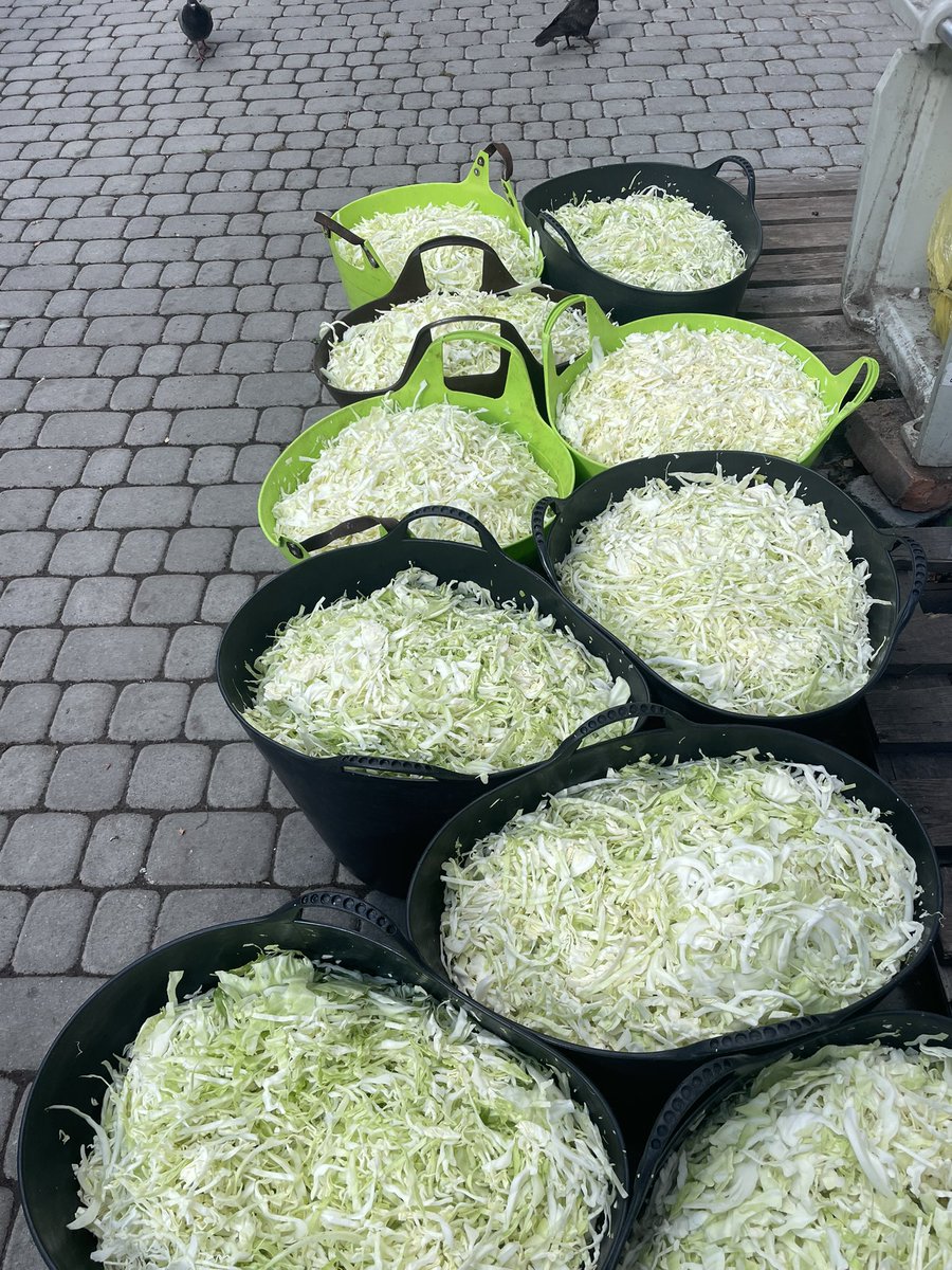 LVKitchen2014's tweet image. We bought 18,000 hryvnias worth of cabbage at the Shuvar Market! We are resuming the packaging of borscht again🫶🤝💙💛
#Ukraine
#VolunteerWork
#NAFOfellas