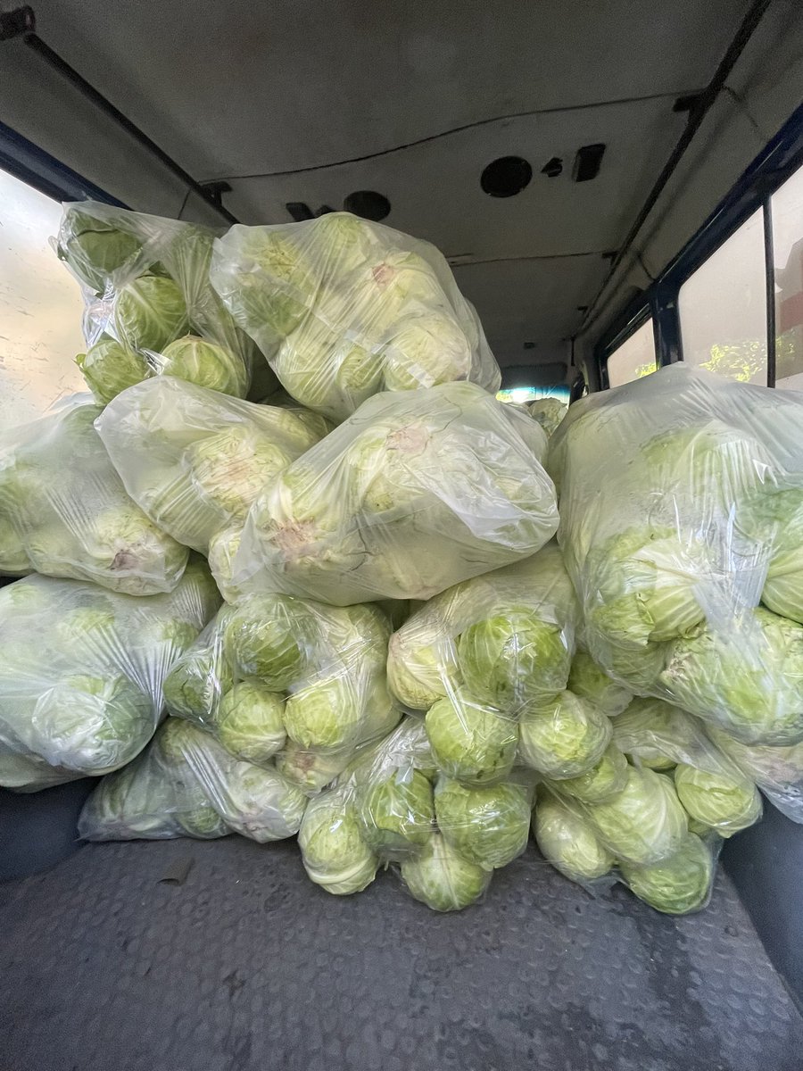 LVKitchen2014's tweet image. We bought 18,000 hryvnias worth of cabbage at the Shuvar Market! We are resuming the packaging of borscht again🫶🤝💙💛
#Ukraine
#VolunteerWork
#NAFOfellas