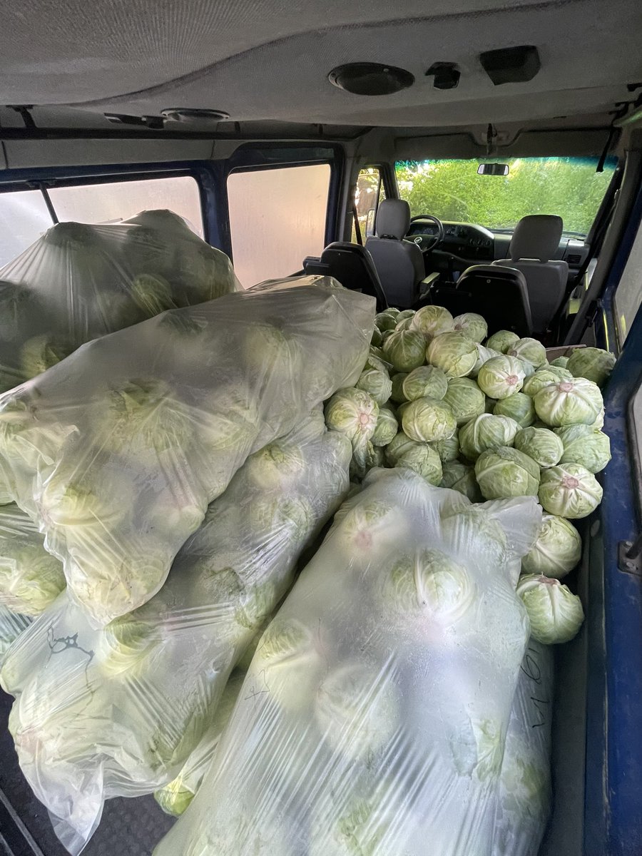 LVKitchen2014's tweet image. We bought 18,000 hryvnias worth of cabbage at the Shuvar Market! We are resuming the packaging of borscht again🫶🤝💙💛
#Ukraine
#VolunteerWork
#NAFOfellas
