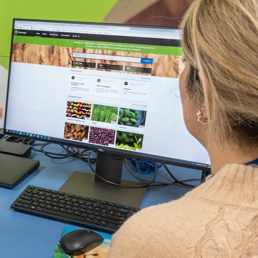 CzemborH's tweet photo. 🧩🧬🔬👨🎓💻📈💚👨🌾🍞
RT: #CropTrust
➡️There are about 7.4 million #seed samples conserved in #genebanks worldwide.
Scientists, #breeders and #farmers rely on them to be available to use. 🌍
➡️Our #informationsystems - https://t.co/ZEBA4jfuH1
#genebank #biodiversity #plantbreeding https://t.co/POkIM3tth7