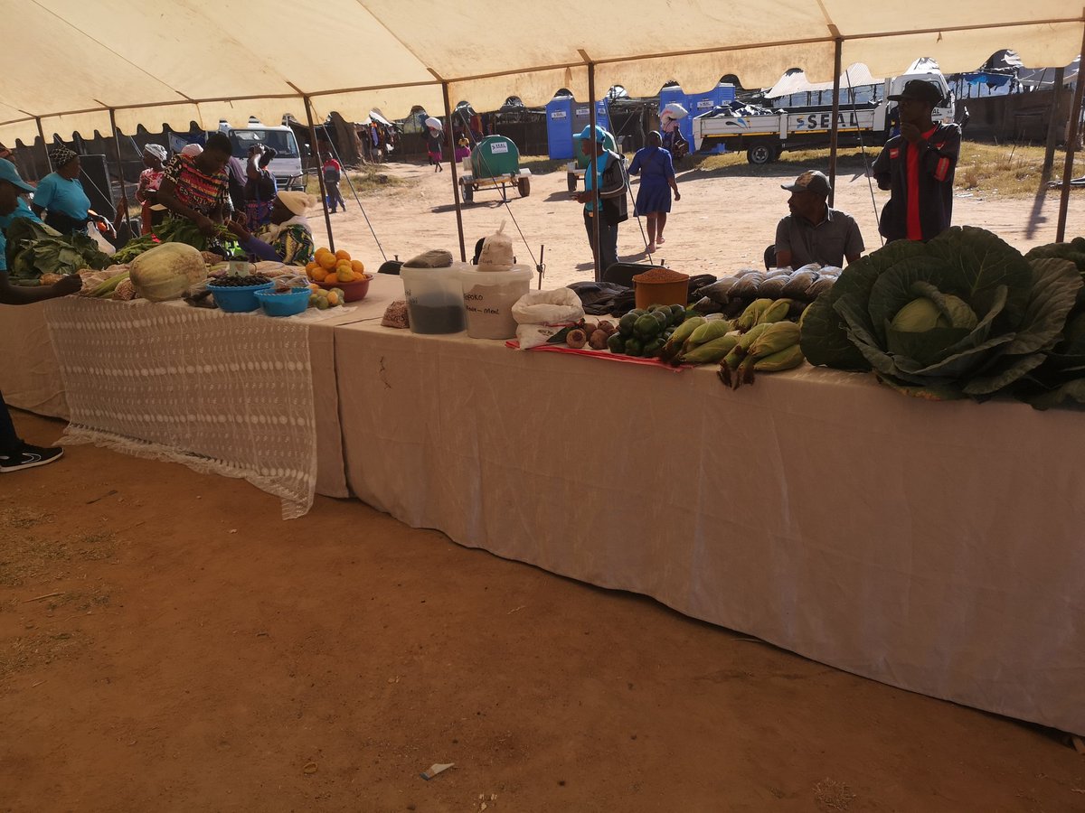 🌱 Dimitra Technology proudly joined the #FAO Digital Villages Initiative launch in Bikita District, Masvingo Province! A powerful step forward in accelerating digital transformation and rural empowerment across Zimbabwe. #FAO  #DigitalAgriculture #RuralInnovation #Zimbabwe
$DMTR