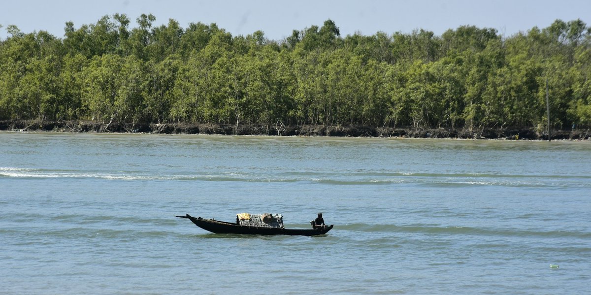 SAsiaLSE's tweet image. As patience with #Rohingyas lessens, they have come to signify displacement, marginality & threat for people in #Bangladesh. Galib Mahmud Pasha @systemsanu analyses this change of 'Rohingya' from #refugee to #slur in everyday conversations.
blogs.lse.ac.uk/southasia/2025…