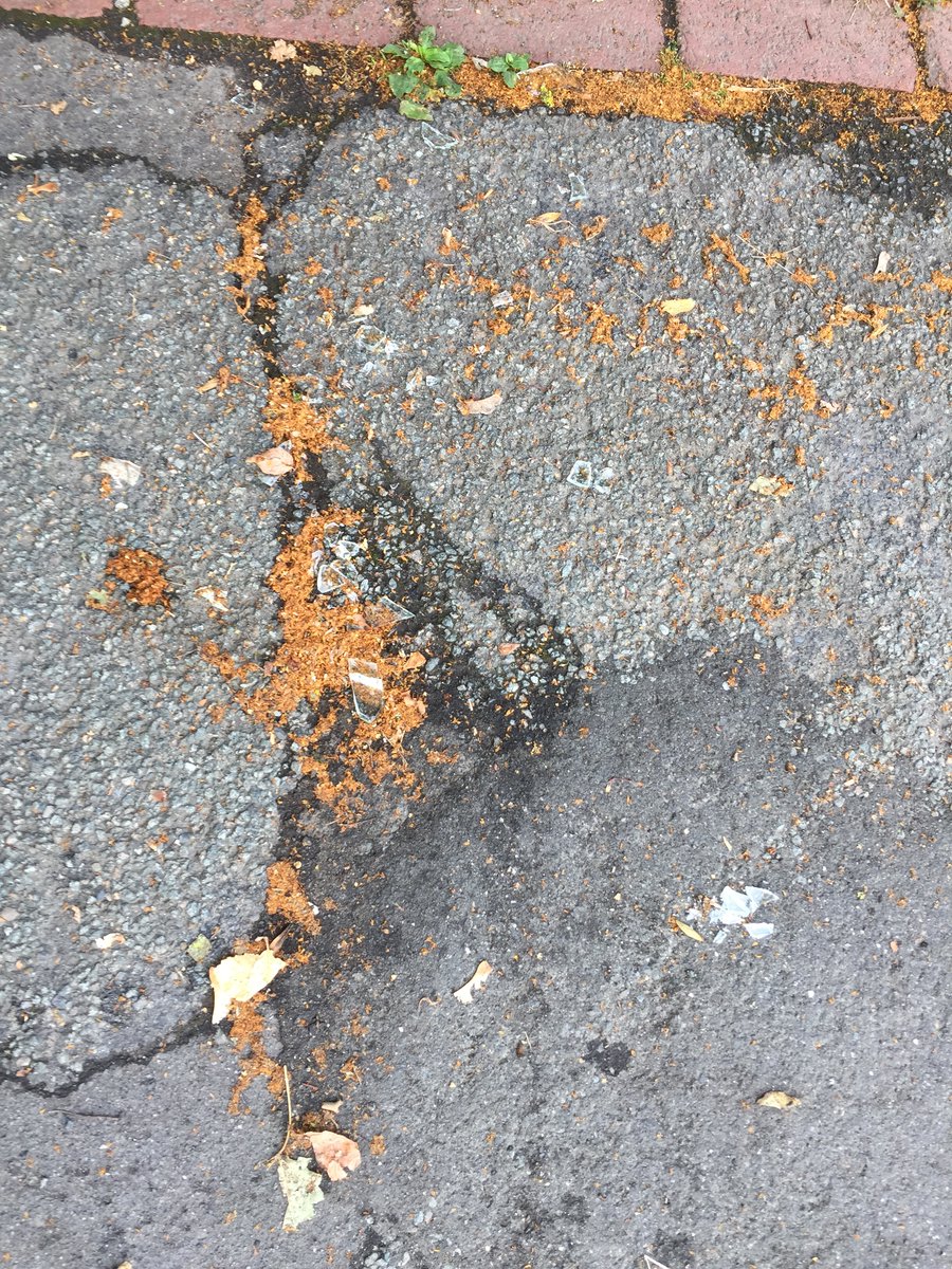 Rainer Bielefeld tweet media