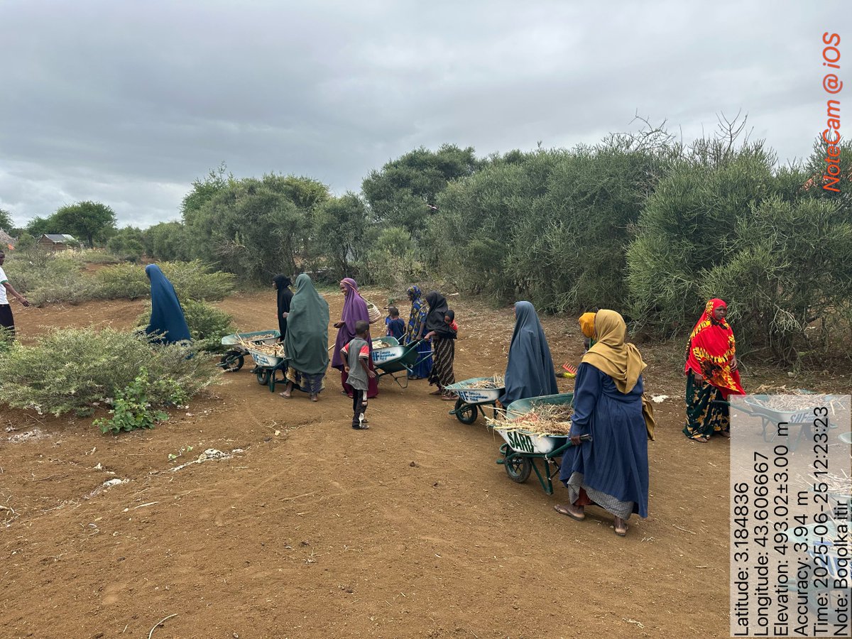 SARD199's tweet image. 🌱 With support from @SHF_Somalia, SARD is actively engaging Baidoa rural communities in hygiene awareness, environmental clean-up campaigns, and inclusive education sessions, we promote health, dignity, and resilience.
#WASH
#Somalia
#CommunityEmpowerment