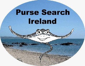 marinedimension's tweet image. 🚨 We&apos;re so excited to announce that our citizen science project, Purse Search Ireland, has a new logo! 🚨  

We&apos;re going to miss our old ray friend, but we&apos;re very excited about the fresh new look! Thanks to our co-director @TylerDanMedina for the new design!