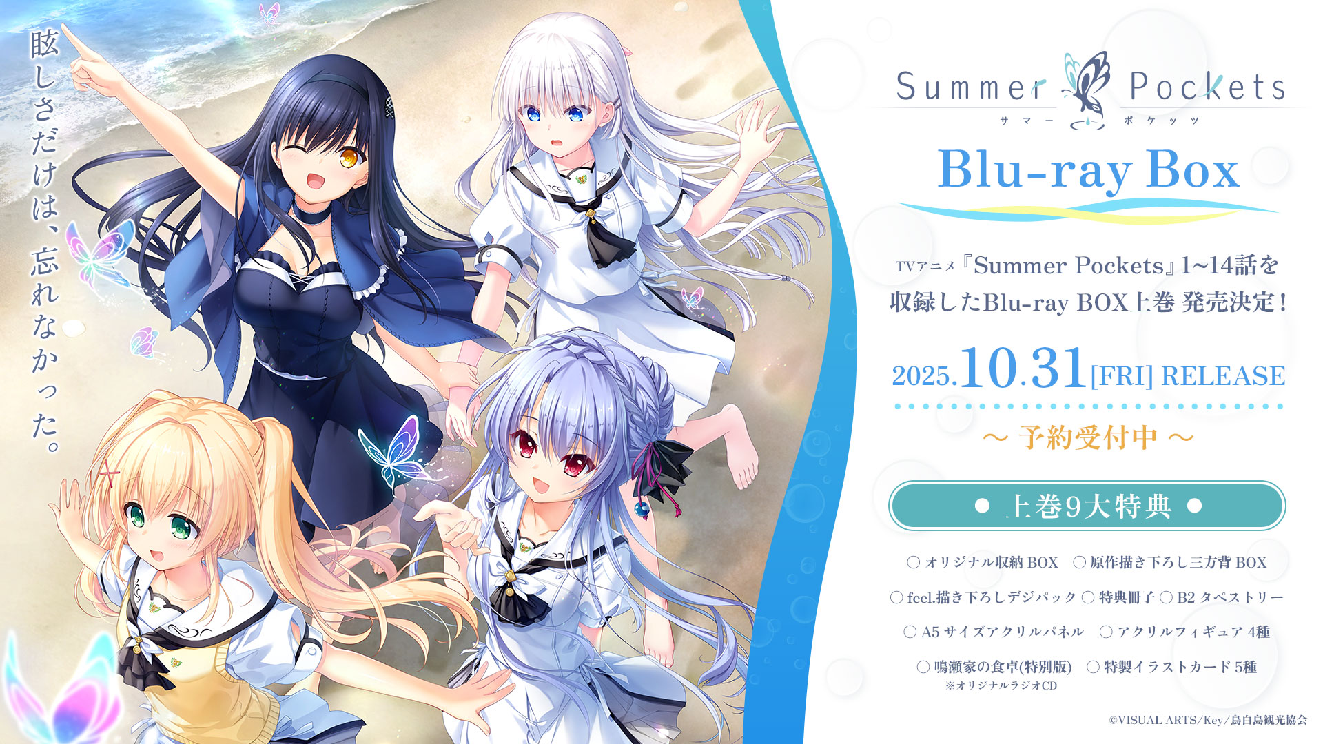Summer Pockets 初回限定版 pcゲーム key Amazon.co.jp: Summer Pockets サマーポケッツ 通常版PC版 KEY