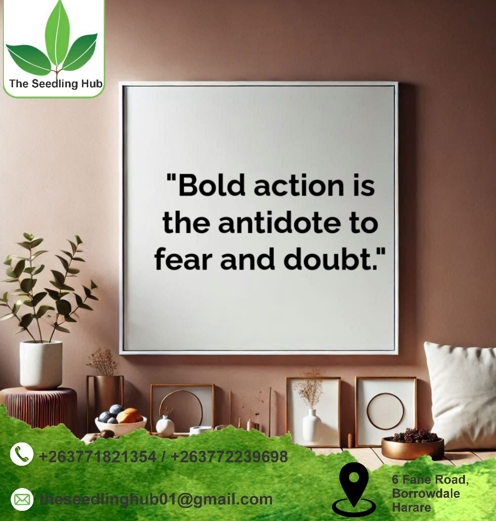 " Bold action is the antidote to fear and doubt."
#farming #QUALITYSEEDLINGS #MondayMotivation #seedlinghub